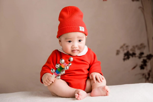 凤城宝宝餐椅哪种最实用